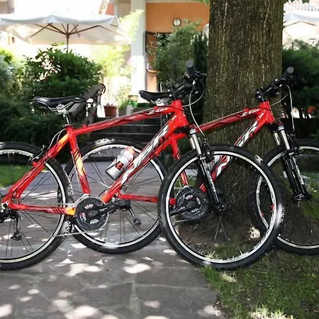 Miramonti Арта-Терме