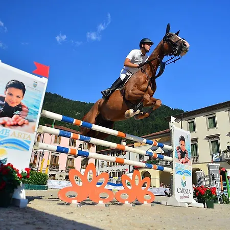 Miramonti 호텔 아르타 테르메